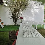 Colegiata
